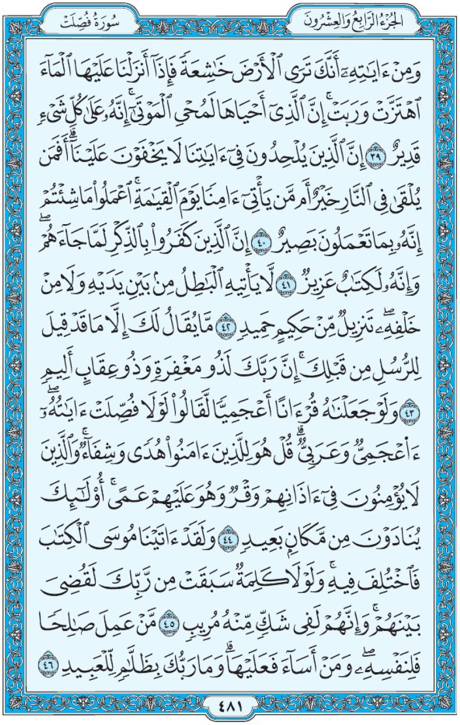 Коран Мединский мусхаф страница 481, Фуссылят, аят 39-46