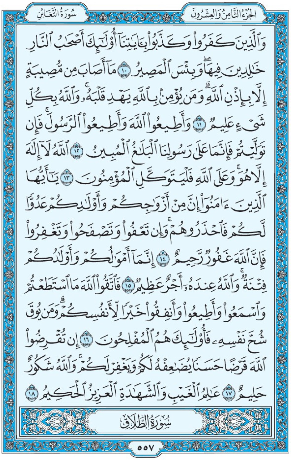 Коран Мединский мусхаф страница 557, ат-Тагабун, аят 10-18