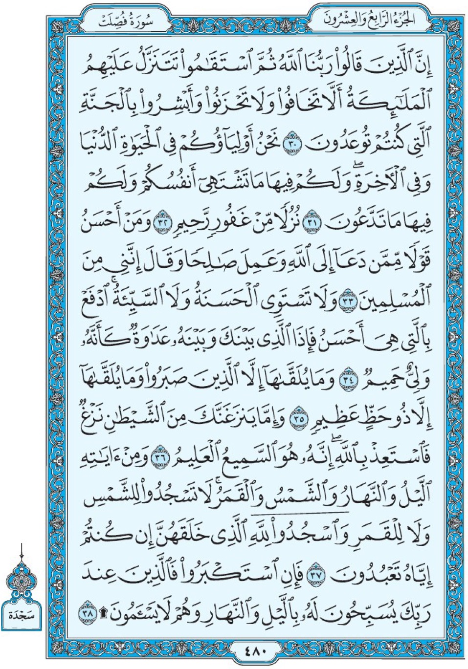 Коран Мединский мусхаф страница 480, Фуссылят, аят 30-38, مصحف المدينة، صفحة ٤٨٠