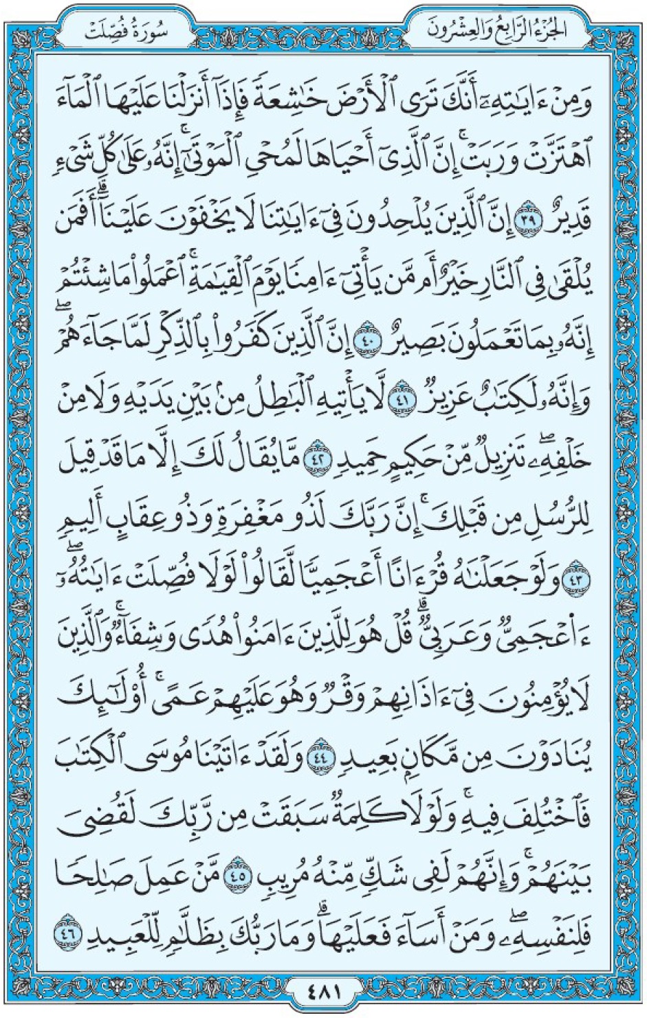 Коран Мединский мусхаф страница 481, Фуссылят, аят 39-46, مصحف المدينة، صفحة ٤٨١