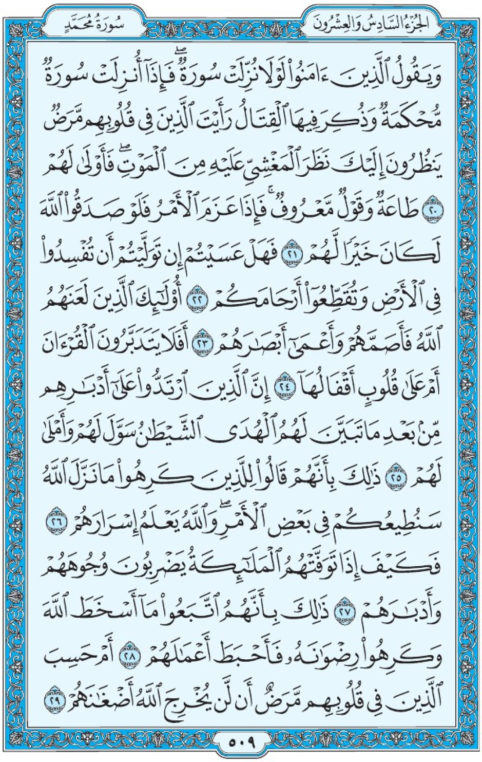 Коран Мединский мусхаф страница 509, Мухаммад, аят 20-29, مصحف المدينة، صفحة ٥٠٩