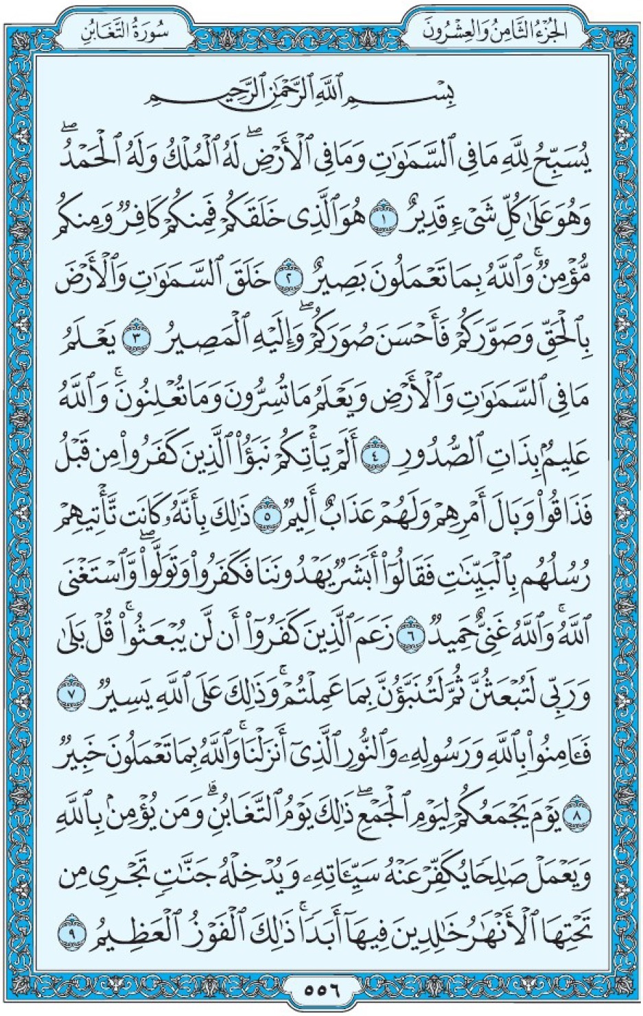 Коран Мединский мусхаф страница 556, сура 64 ат-Тагабун سورة ٦٤ التغابن 